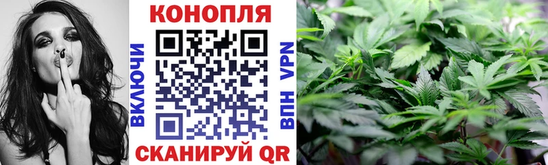 МАРИХУАНА сатива  Апатиты 
